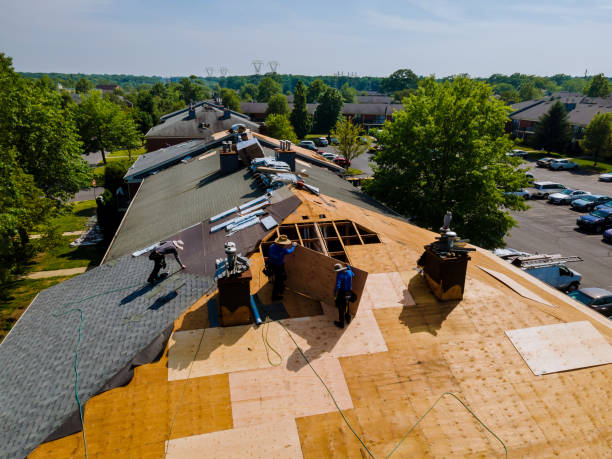 Best Flat Roof Repair Services  in Island Lake, IL