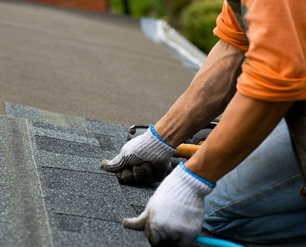 Best Storm Damage Roof Repair  in Island Lake, IL